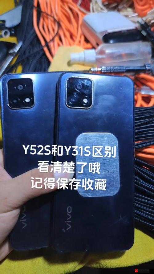 y31s 标准区别更新引许多海外直播间直呼热议